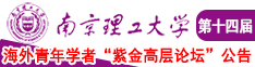 大鸡吧成人在线观看视频南京理工大学第十四届海外青年学者紫金论坛诚邀海内外英才！